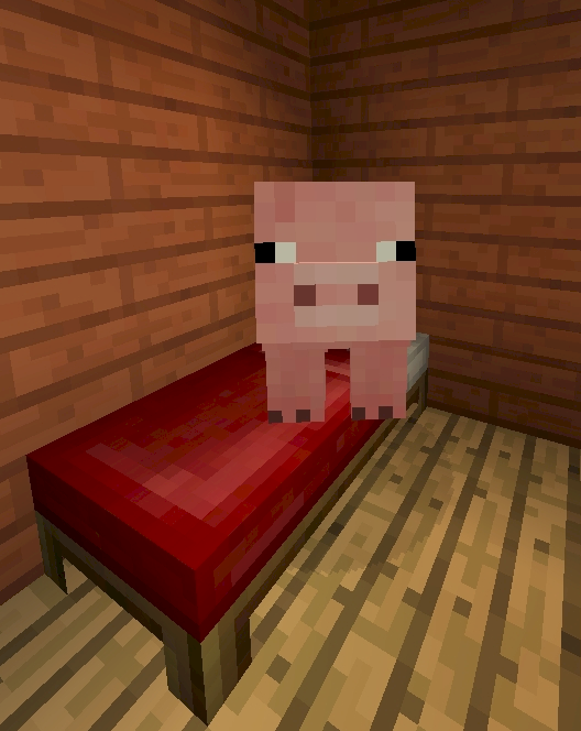 Назвала свинку в майнкрафте Пончик. Хорошее имя фото