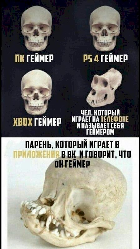 Я скачал бесплатынй майнкрафт на телефоне поко