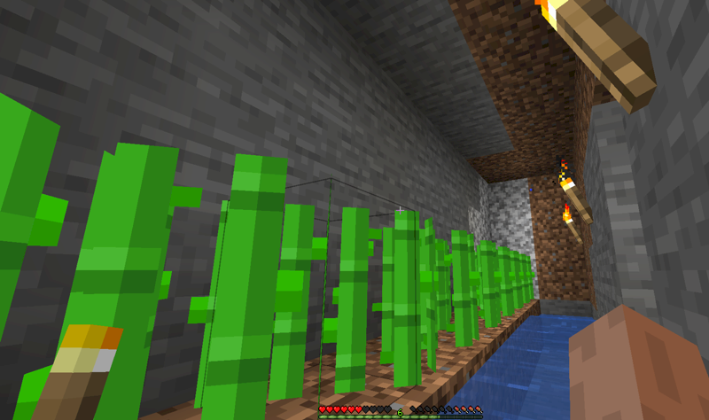 Растёт ли тросник в пещере майнкрафт