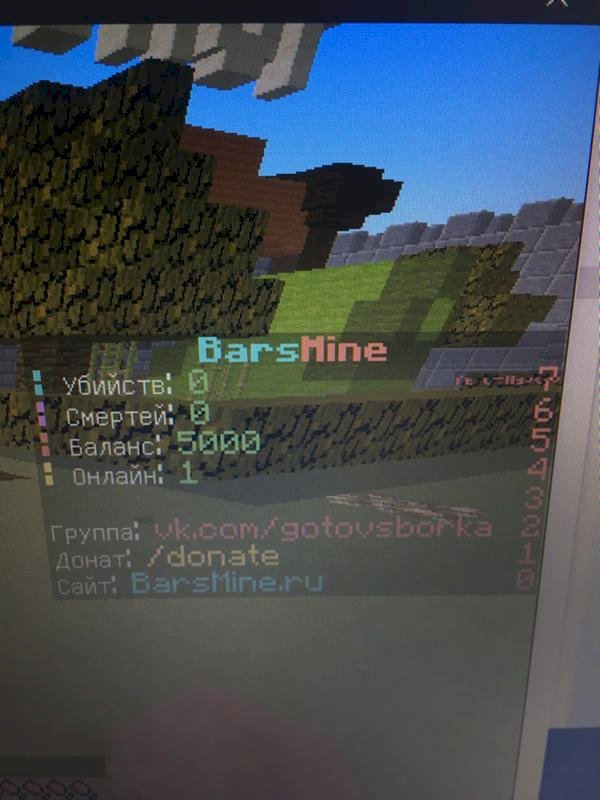 Что за плагин в Майнкрафт