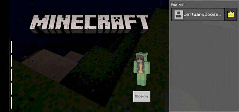 Нет панели и нельзя приглашать друзей в майнкрафте на телефоне