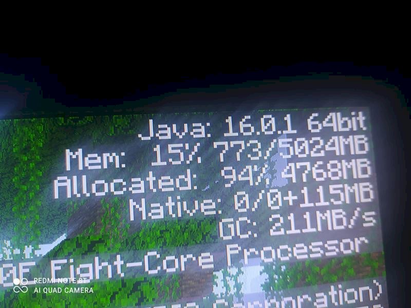 Minecraft java память