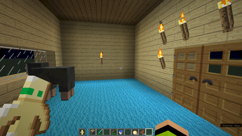 Маленькая рука в нижней части экрана в майнкрафт