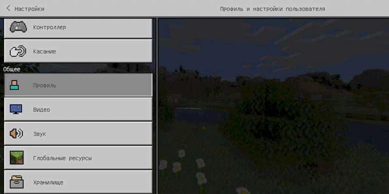 Проблемы с майнкрафтом пе
