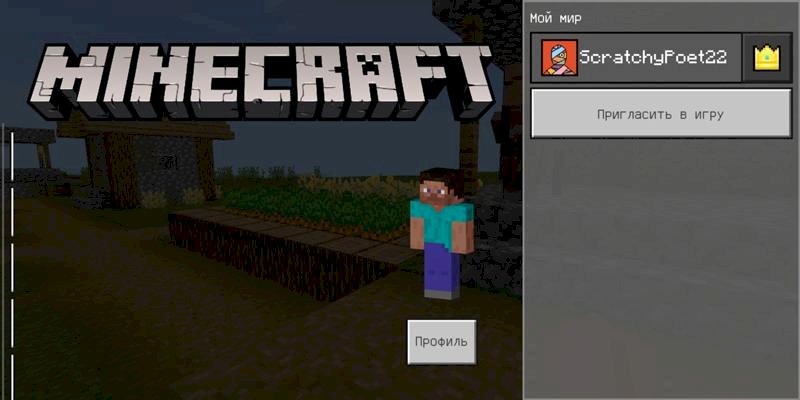 Баг в Майнкрафт ПЕ
