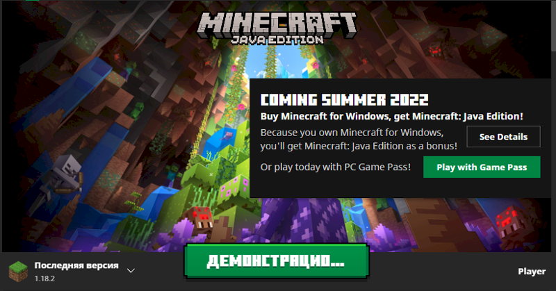Because you own minecraft for windows, you get minecraft java edition as a bonus