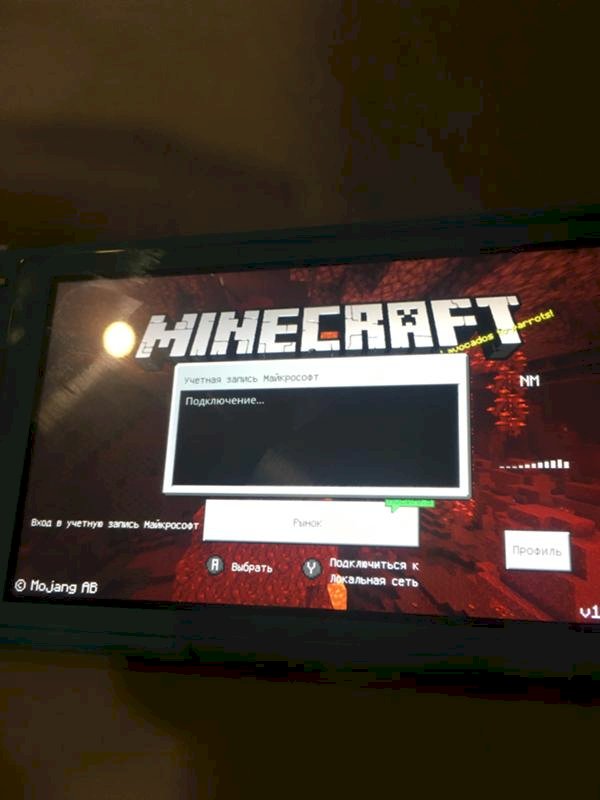 Не подключает учетную запись Microsoft в Minecraft на нинтендо свич