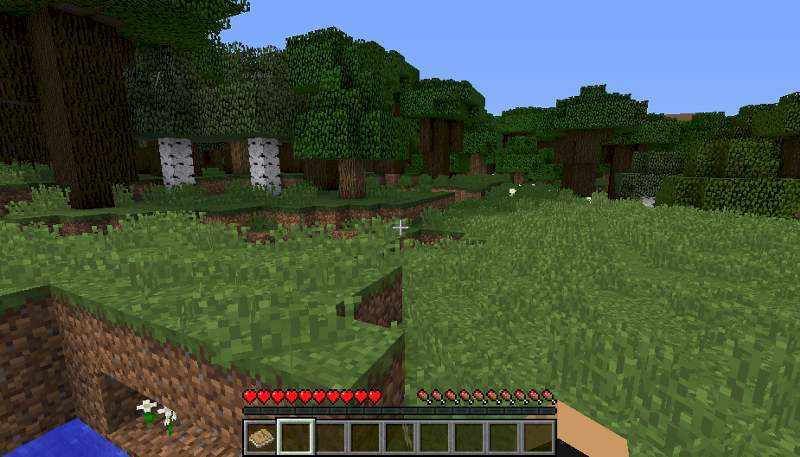 Пробелма в Minecraft с рукой